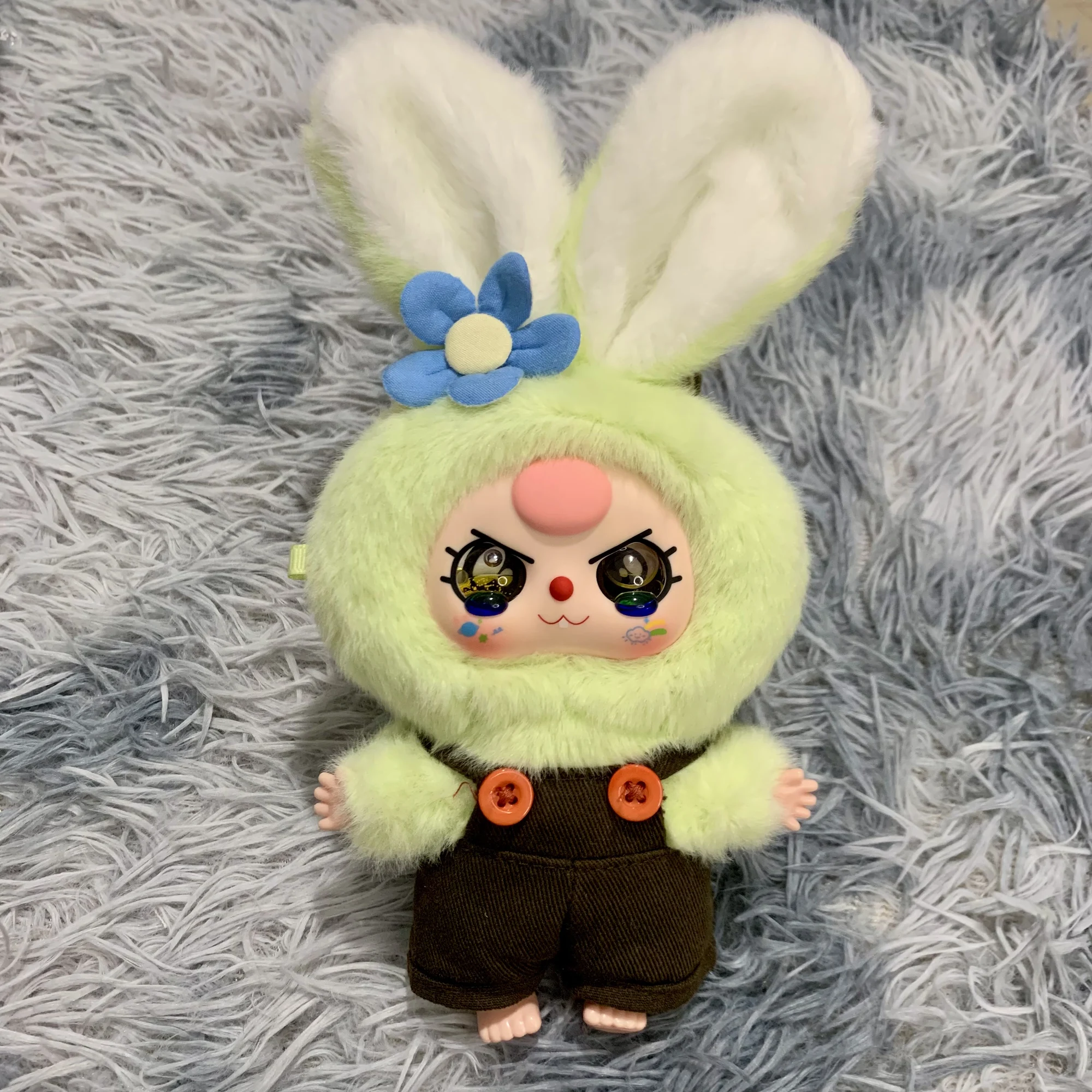 Thỏ xanh bơ v1